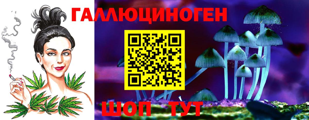 Псилоцибиновые грибы прущие грибы  Вход с VPN  Псилоцибиновые грибы Psilocybine cubensis  Качканар 
